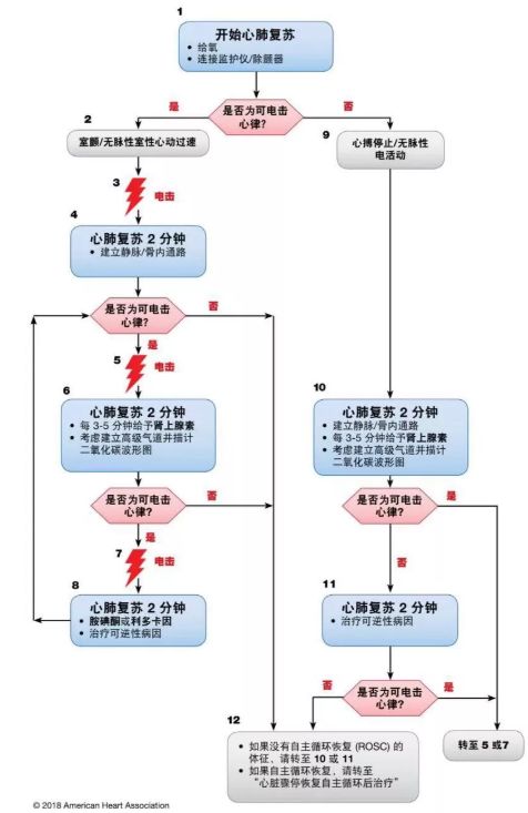 最新心肺复苏指南,心肺复苏最新版指南发布