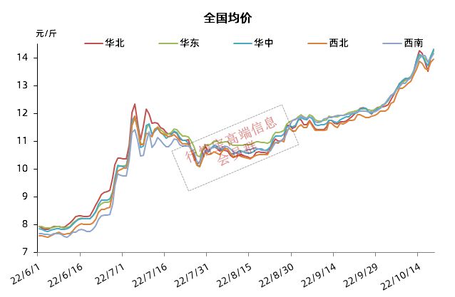 最新生猪价,今日生猪市场价格再创新高。