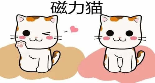 磁力猫最新版官网下载,“热门磁力猫新版官网，一键下载新体验！”