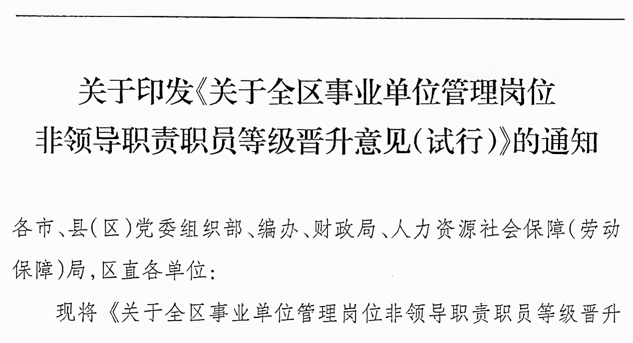 事业职级并行最新消息,“职场晋升新动向，职级与事业同步发展资讯速递”