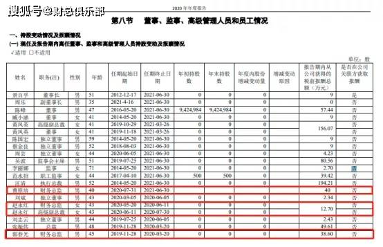 财务最新工资,薪酬动态最新披露