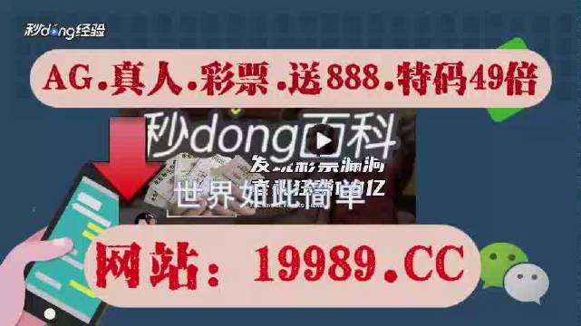 2024澳门天天开好彩大全免费,热析答释评新_业型集U74.90