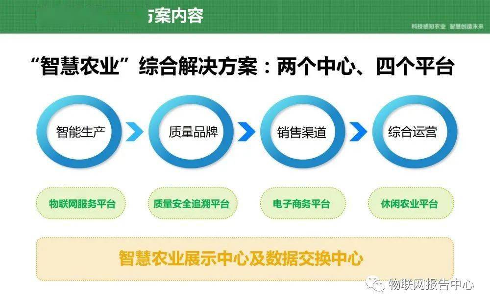 2024澳门今晚开特马开什么,全面把握解答解释策略_海外集C6.187