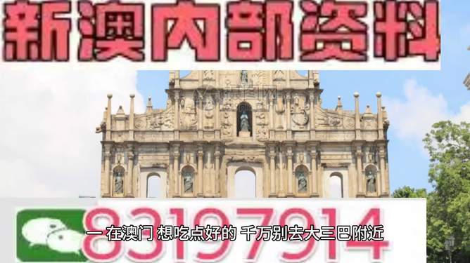 新澳门资料大全正版资料2024年免费,探索与解析4949的魅力_检测版V58.925