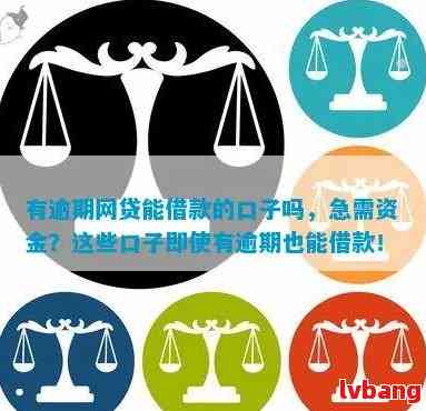 最新网贷口子解析,最新网络贷款平台深度解读