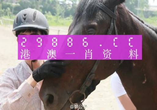 澳门一肖一码一必中,实际执行解答落实_证券版T92.965