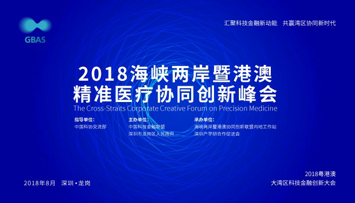 2024澳门精准正版,深入执行方案设计_复合版S91.461