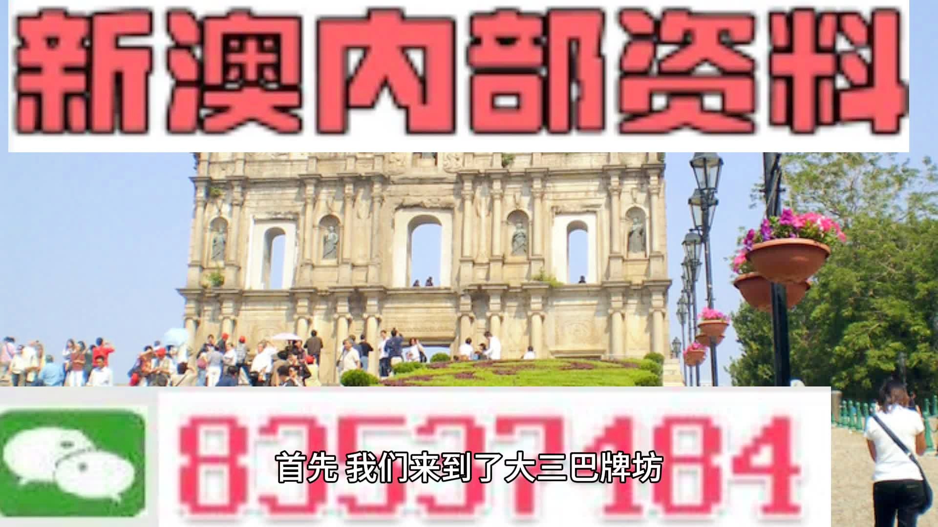 2024年新澳门免费资料,深度解析与实用指南_活现版S69.819