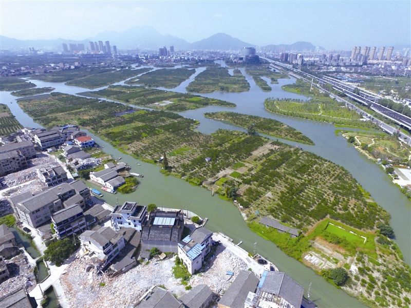 三垟湿地搬迁最新动态,三垟湿地迁建进展速递