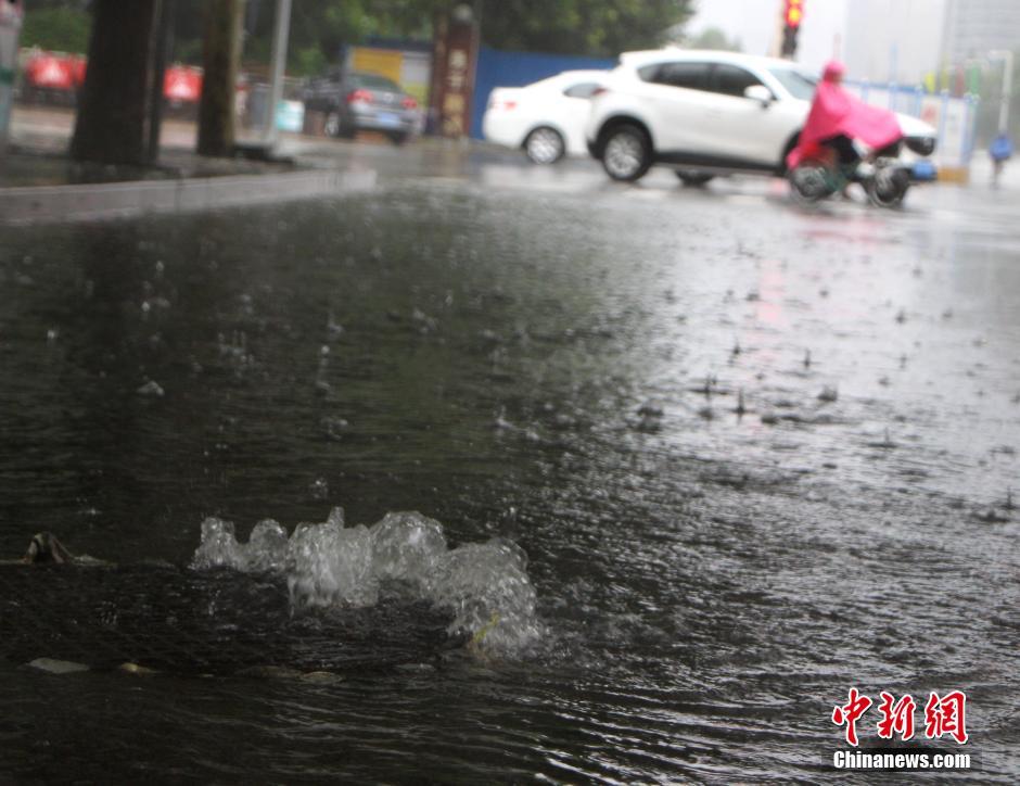 河北强降雨最新信息,河北暴雨实时资讯