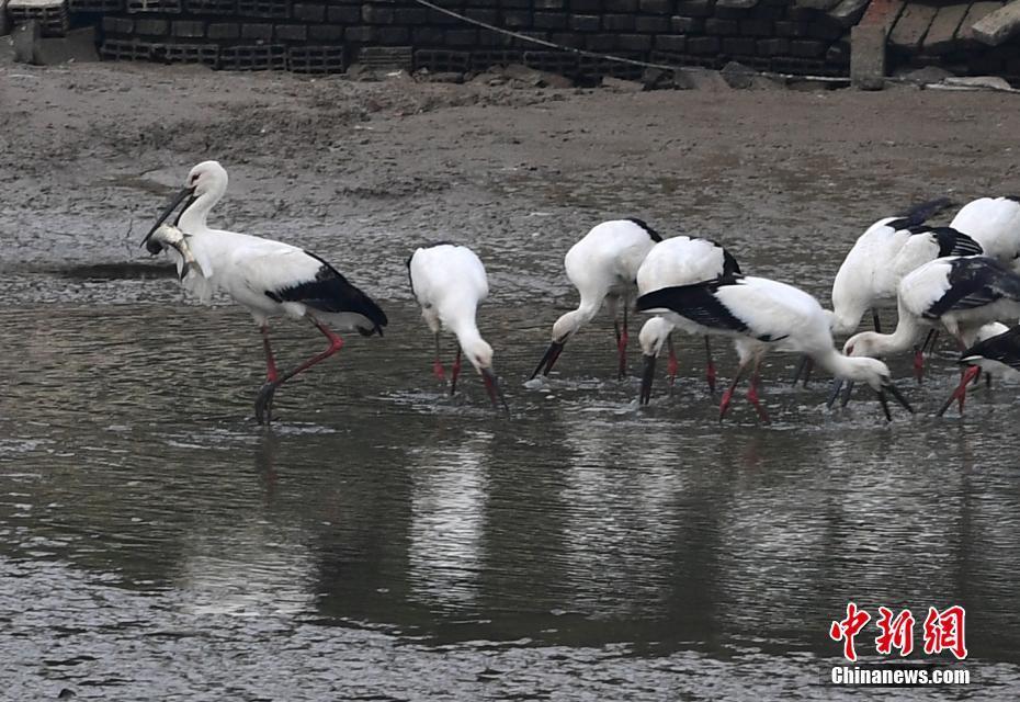 风轻云淡任逍遥 第2页