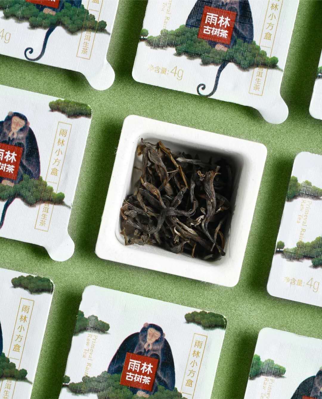 雨林古树茶最新价格,“热带雨林古树茶现价一览”