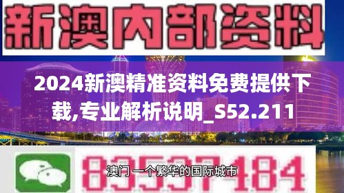 新澳2024年精准资料,权威方案解答解析解释_尊贵款X27.828