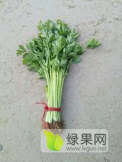 沂南芹菜最新价格,沂南芹菜现时售价