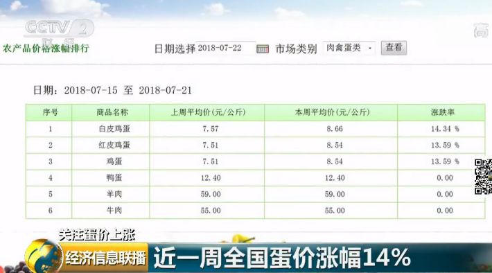 肉种蛋价格最新早报,“今日肉种蛋市价速览”