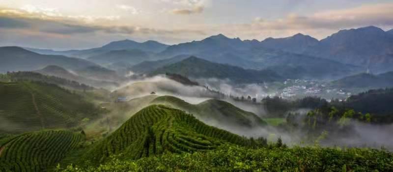 遂川最新新闻,遂川新鲜资讯速递