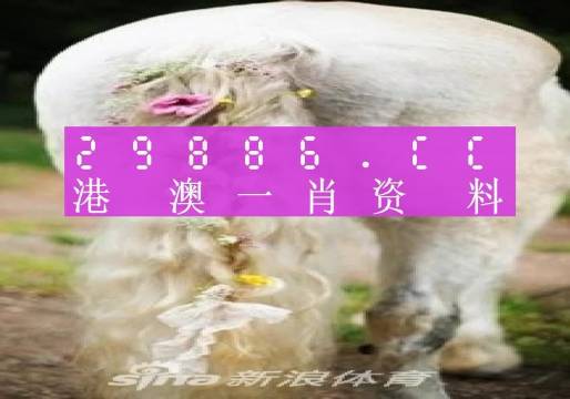 澳门一肖一码100%的准确率,探索澳新资料库免费之旅_挑战集A52.426