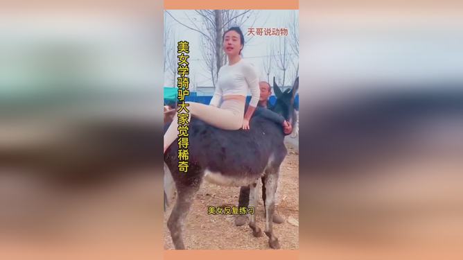 最新美女骑毛驴,时尚佳人骑驴漫步