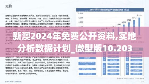 2024新澳最快最新资料｜2024新澳最快最新资料更新_长期性计划落实分析