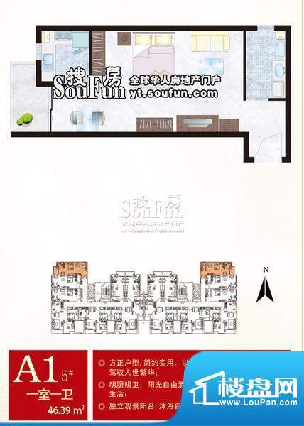 蓬莱博展资讯速递：最新动态全解析