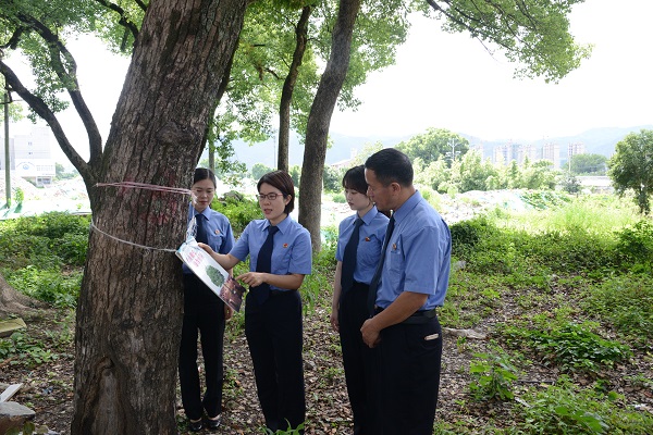 新昌县人民检察院最新披露案件动态盘点